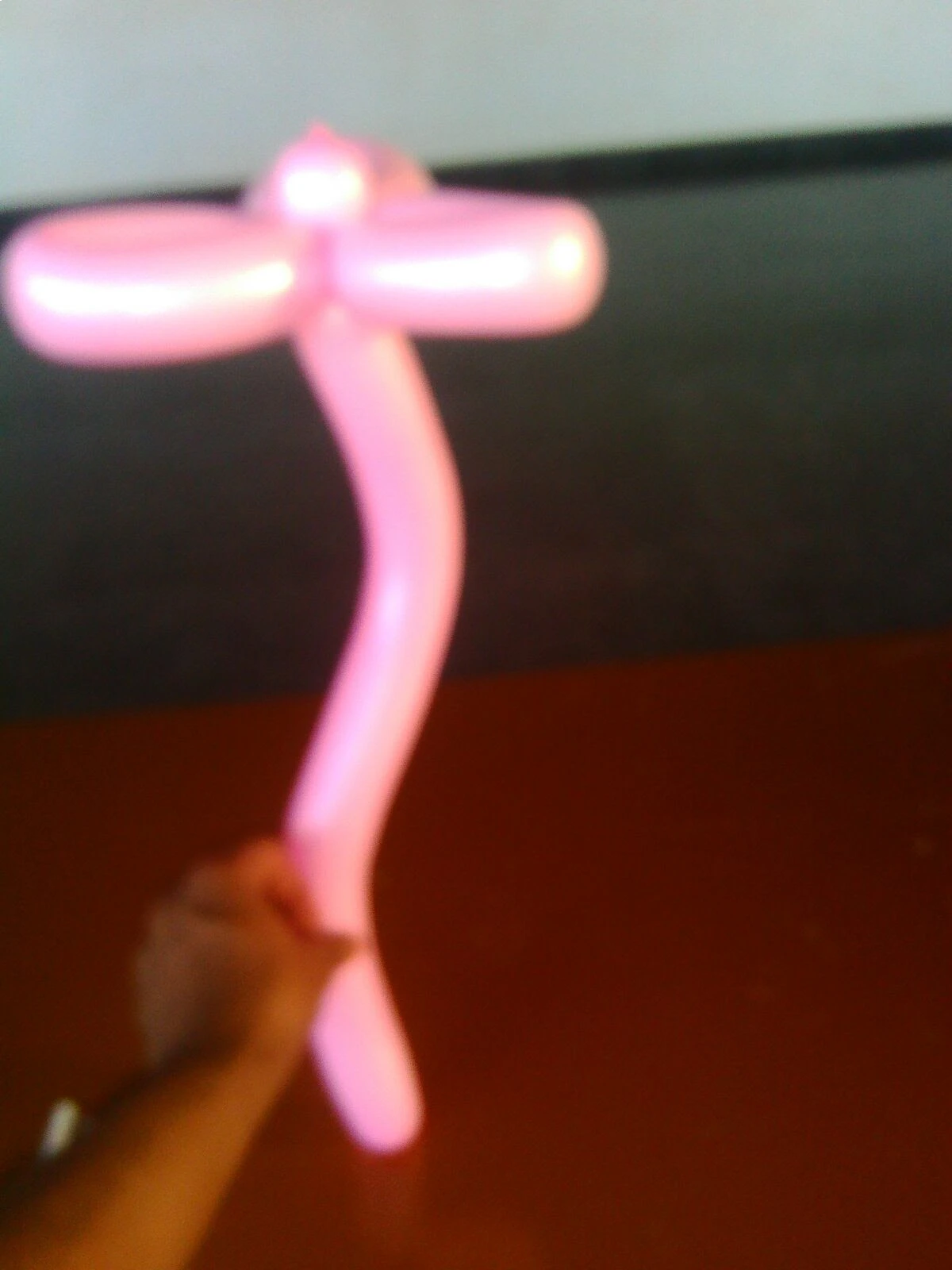 Balloon-Twisting 