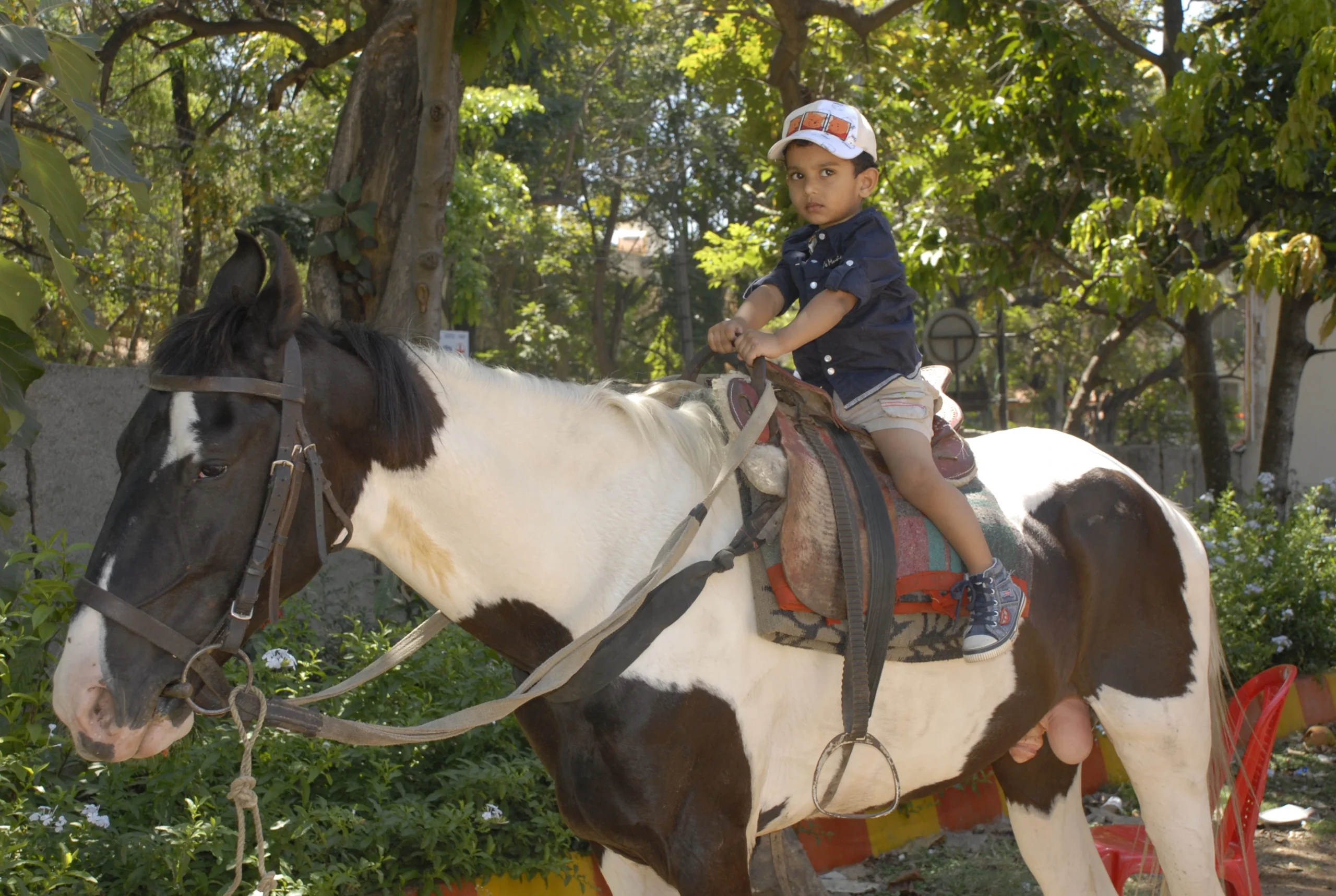 horse-riding