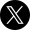 x-icon