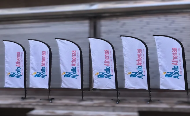 feather-flags-print